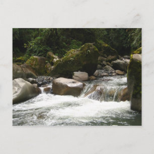 Manu nationalpark vykort