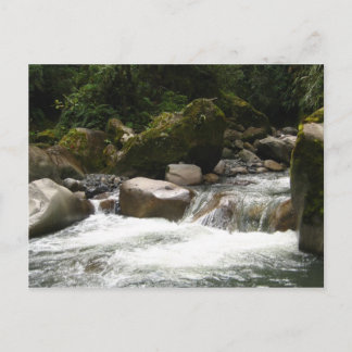 Manu nationalpark vykort