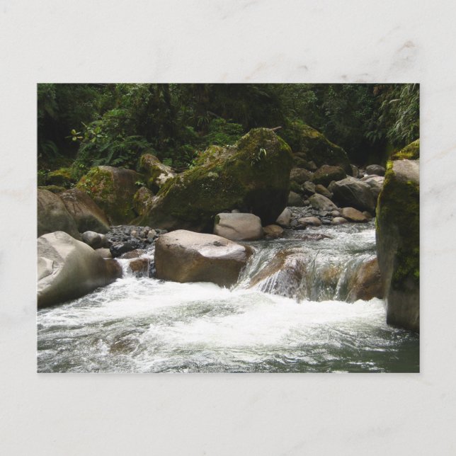 Manu nationalpark vykort (Framsida)