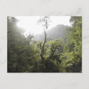 Manu nationalpark vykort