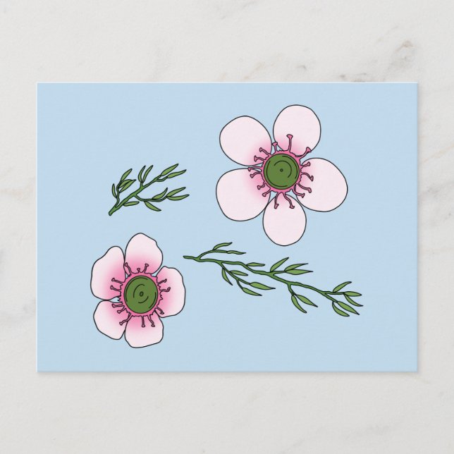 Manuka Flowers Vykort (Framsida)