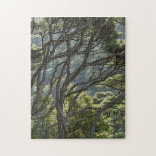 Manuka Träd Forest Nya Zeeland Pussel