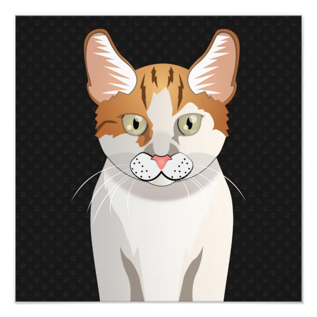 Manx Cat Tecknad Tassar Fototryck (Framsidan)