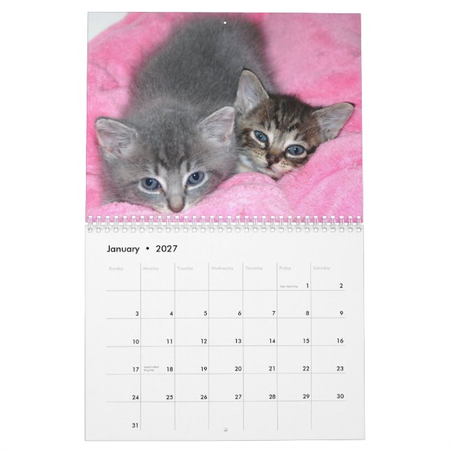 Manx kalender för berömdt mirakel (Jan 2027)