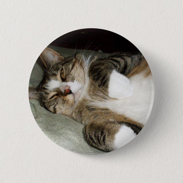 Manx Katt Sovande Knapp (Framsida)
