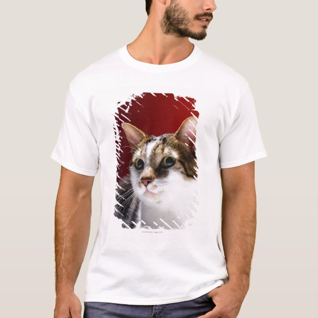 Manx katt t shirt (Framsida)