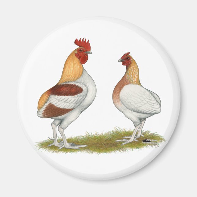 Manx Rumpies Magnet (Framsidan)