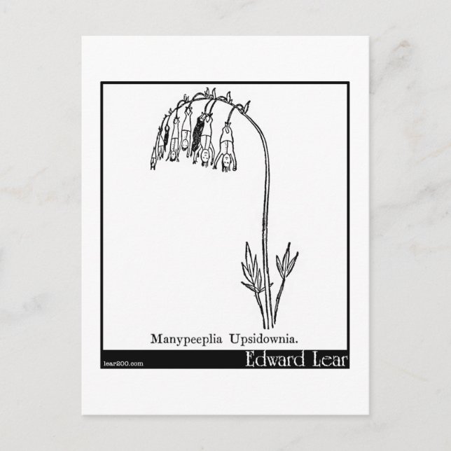 Manypeeplia Upsidownia. Vykort (Framsida)