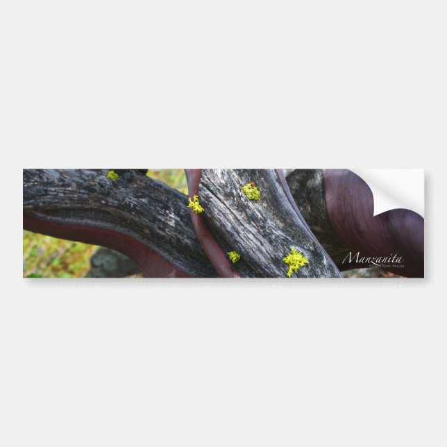 Manzanita Bildekal (Framsidan)