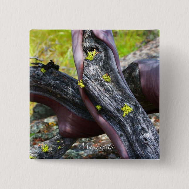 Manzanita Button Knapp (Framsida)