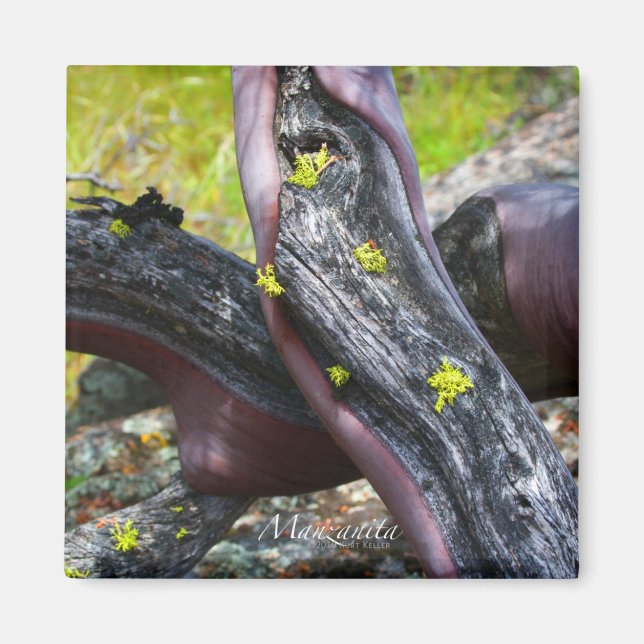 Manzanita Magnet (Framsidan)