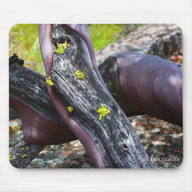 Manzanita Mousepad Musmatta (Framsidan)