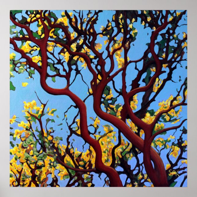 Manzanita på hösten poster (Framsidan)