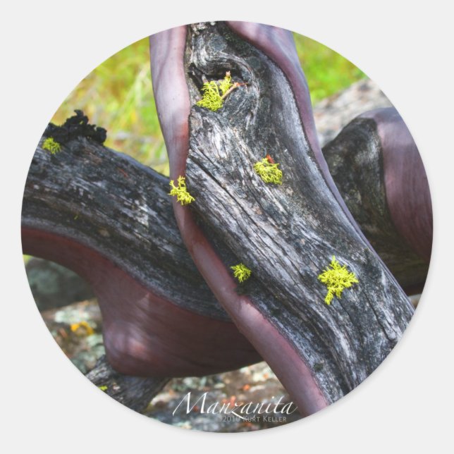 Manzanita Sticker Runt Klistermärke (Framsida)