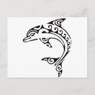 Maori Dolphin Vykort
