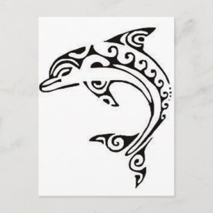 Maori Dolphin Vykort