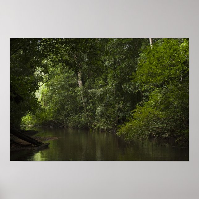 Mapari River, Mapari Rupununi, Guyana. Poster (Framsidan)