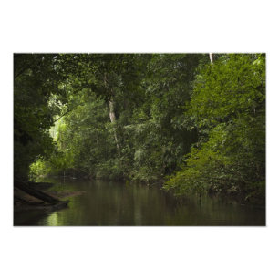 Maparifloden, Mapari Rupununi, Guyana. Fototryck