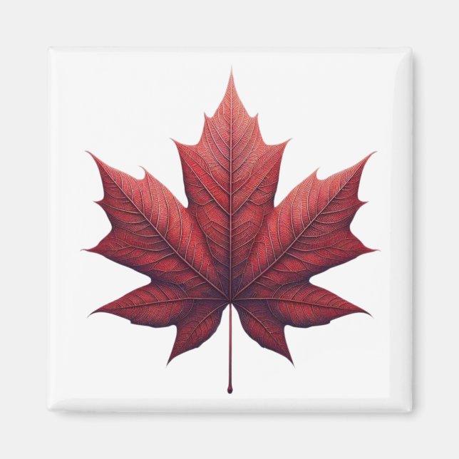 Mapel Leaf, Ahornblatt Magnet (Framsidan)