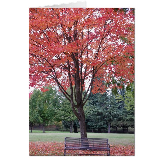 Mapla med Bench Card Hälsningskort (Framsidan)