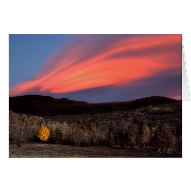 Maple Ablaze vid Sunset Hälsningskort (Framsidan Horizontal)