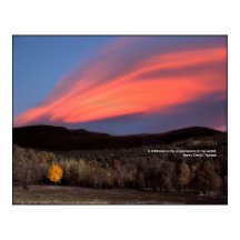 Maple Ablaze vid Sunset: Thoreau Wilness Poster