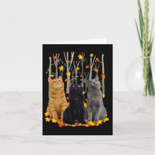 Maple Cat Löv Fall Hej Hösten Roligt Kattunge Kort