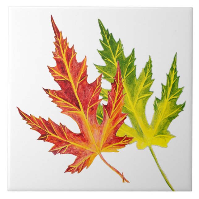 Maple från silver på en keramik platta kakelplatta (Framsidan)