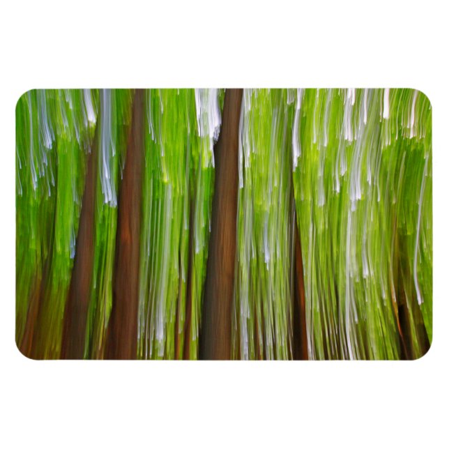 Maple Grove-Abstrakt Magnet (Horisontell)