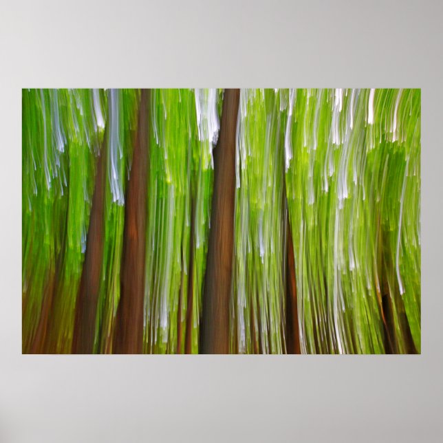 Maple Grove-Abstrakt Poster (Framsidan)