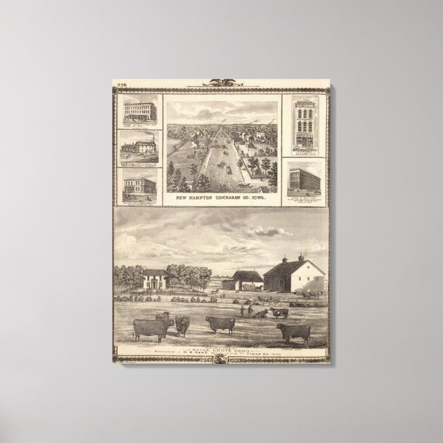 Maple Grove Herd, Cedar Co New Hampton Canvastryck (Framsida)