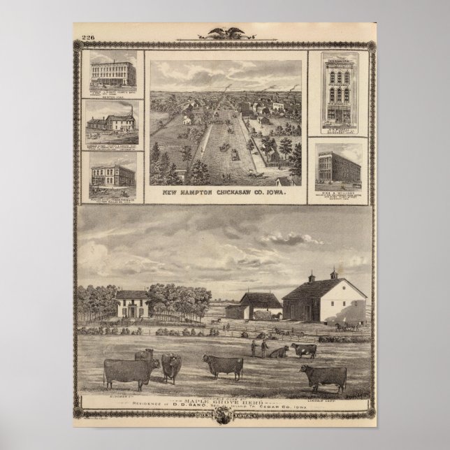 Maple Grove Herd, Cedar Co New Hampton Poster (Framsidan)
