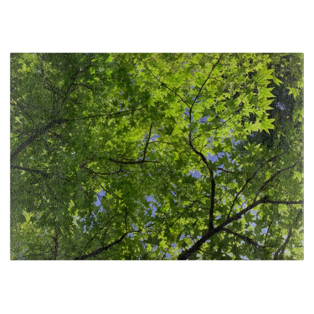 Maple i Vår (Framsidan)