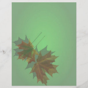 Maple Lämna Flyer