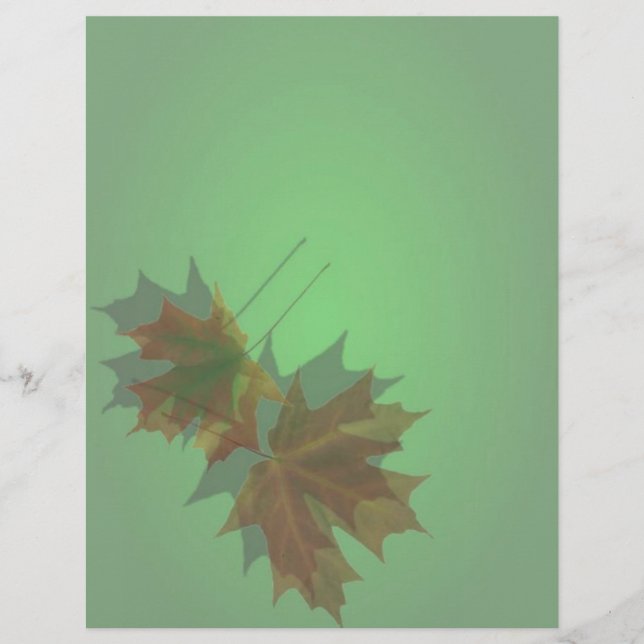 Maple Lämna Letterhead (Framsida)