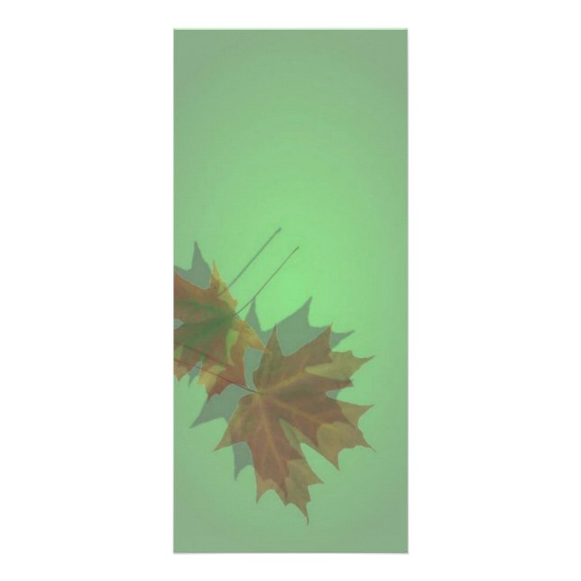Maple Lämna Rack Card Reklamkort (Framsidan)