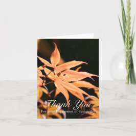 Maple Löv 2 Sympathy Tackkort Card