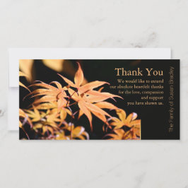 Maple Löv 3 Sympathy Tackkort Card Tack Kort