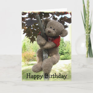 Maple Löv Bear, Grattis på födelsedagen Kort