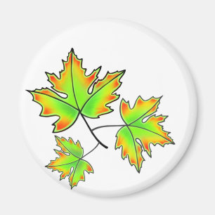 Maple Löv, botaniskt, rödorange grönt löv Magnet