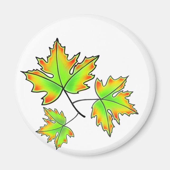 Maple Löv, botaniskt, rödorange grönt löv Magnet (Framsidan)