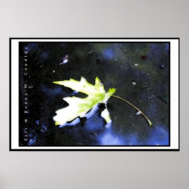 Maple Löv I Poster (Framsidan)