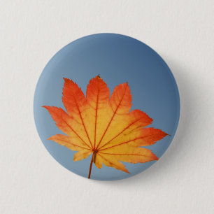maple löv knapp