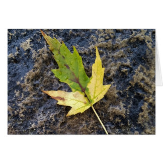 Maple Löv , medföljande vita kuvert Hälsningskort