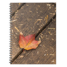 maple löv minimalistisk fallfoto