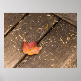 maple löv minimalistisk fallfoto poster