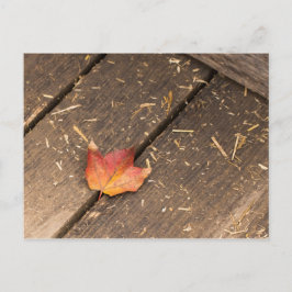 maple löv minimalistisk fallfoto vykort