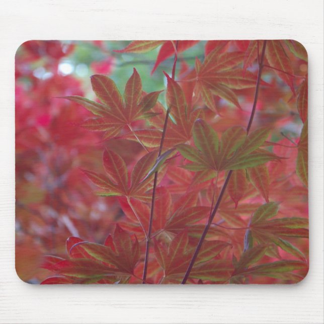 Maple Löv Mousepad Musmatta (Framsidan)