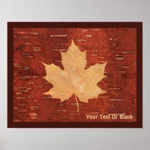 Maple Löv på inre Birch Bark Poster