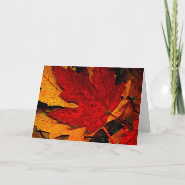MAPLE LÖV RAG KORT (Framsida)